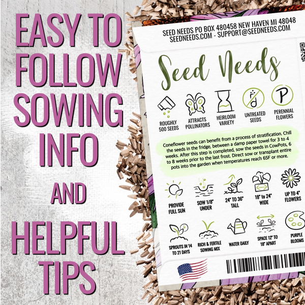 Purple Coneflower Seeds For Planting (Echinacea purpurea)