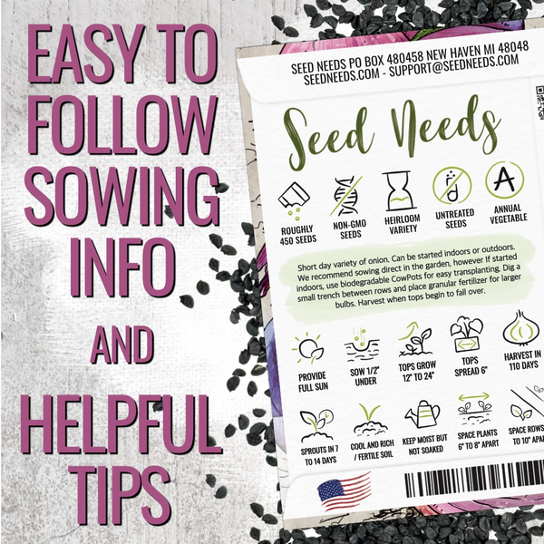 Red Burgundy Onion Seeds For Planting (Allium cepa)