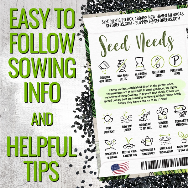 Garlic Chives Herb Seeds For Planting (Allium tuberosum)