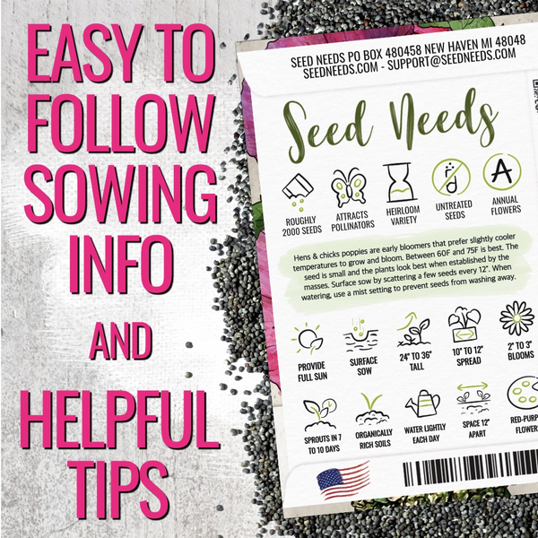 Hens and Chicks Poppy Seeds For Planting (Papaver somniferum)