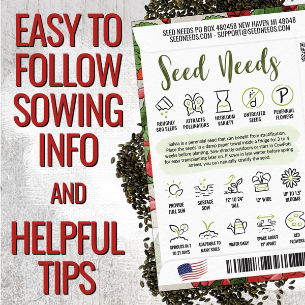 Scarlet Sage Seeds For Planting / Scarlet Salvia (Salvia coccinea)