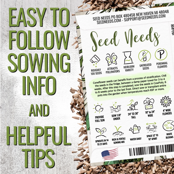 White Swan Coneflower Seeds For Planting (Echinacea purpurea)