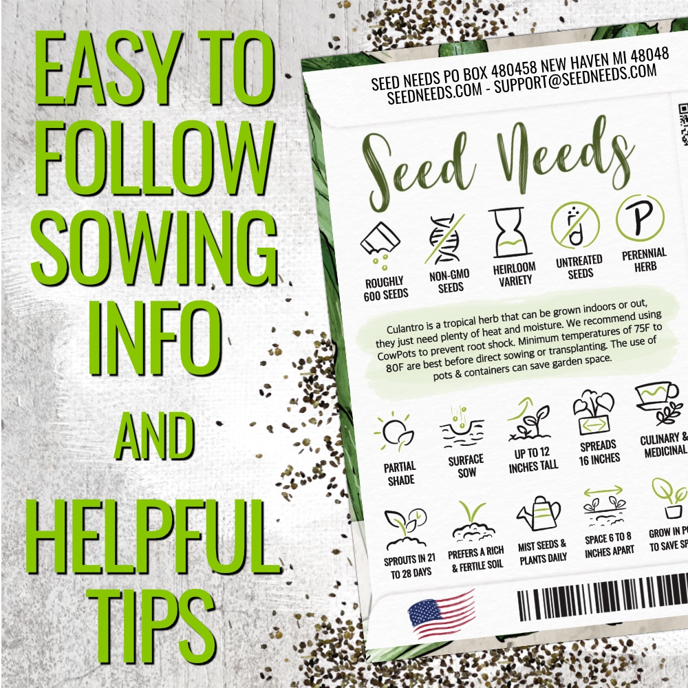 Culantro Herb Seeds For Planting (Eryngium foetidum)