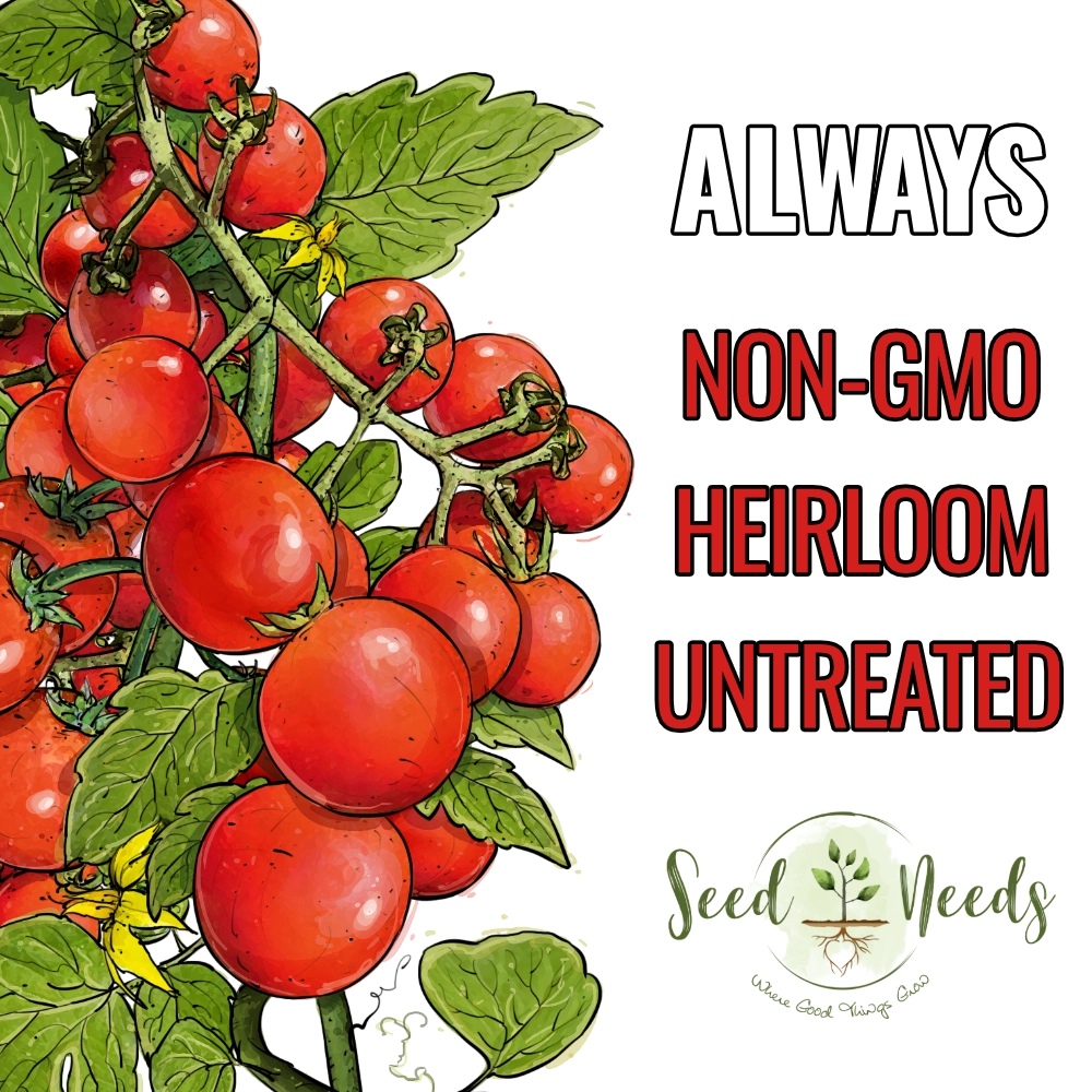 Tiny Tim Tomato Seeds For Planting (Lycopersicon esculentum)