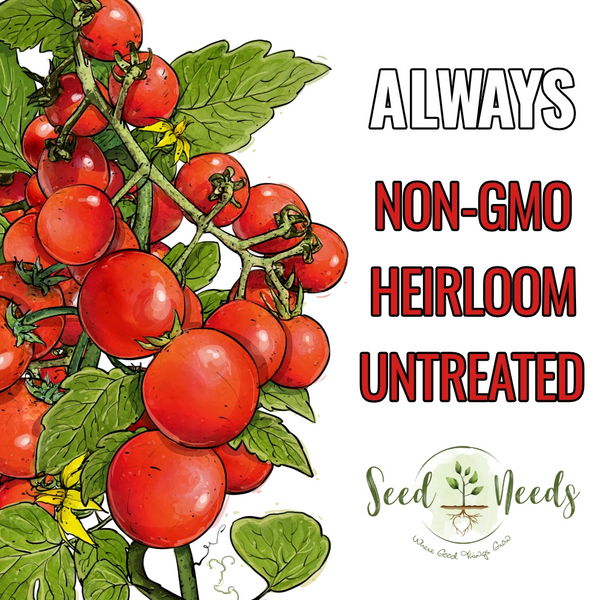 Tiny Tim Tomato Seeds For Planting (Lycopersicon esculentum)
