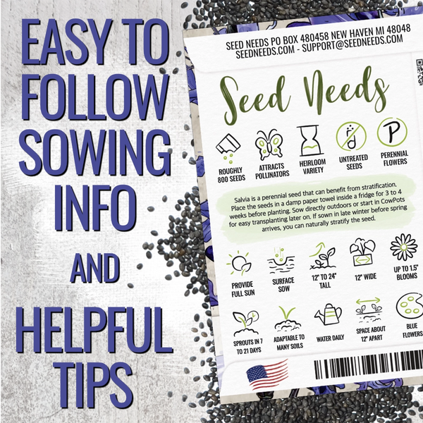 Sapphire Sage Seeds For Planting / Sapphire Salvia (Salvia farinacea)