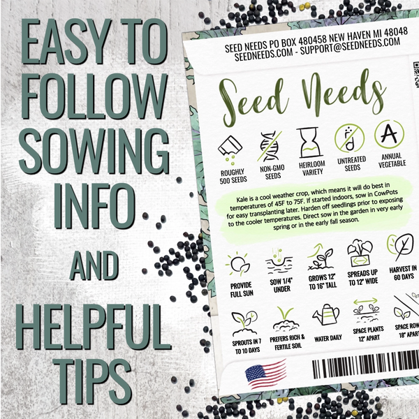 Red Russian Kale Seeds For Planting (Brassica napus)