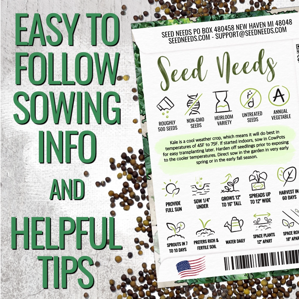 Kale Seeds For Planting, Vates Blue Scotch Curled (Brassica oleracea)