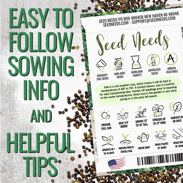 Kale Seeds For Planting, Vates Blue Scotch Curled (Brassica oleracea)