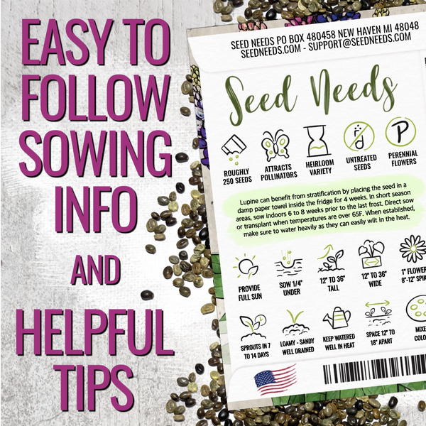 Lupine Russell Seeds For Planting (Lupinus polyphyllus)