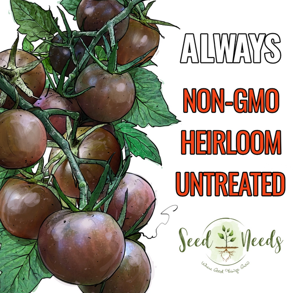 Black Cherry Tomato Seeds For Planting (Solanum lycopersicum)