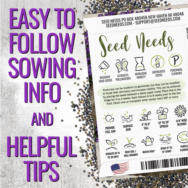 Purple Rockcress Groundcover Seeds For Planting (Aubrieta deltoidea)