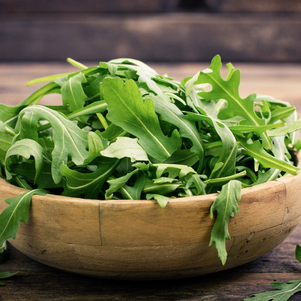 Arugula Herb Seeds For Planting (Eruca sativa)
