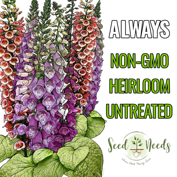 planting digitalis seeds Excelsior Mixture Foxglove Seeds For Planting (Digitalis purpurea) – Seed Needs LLC