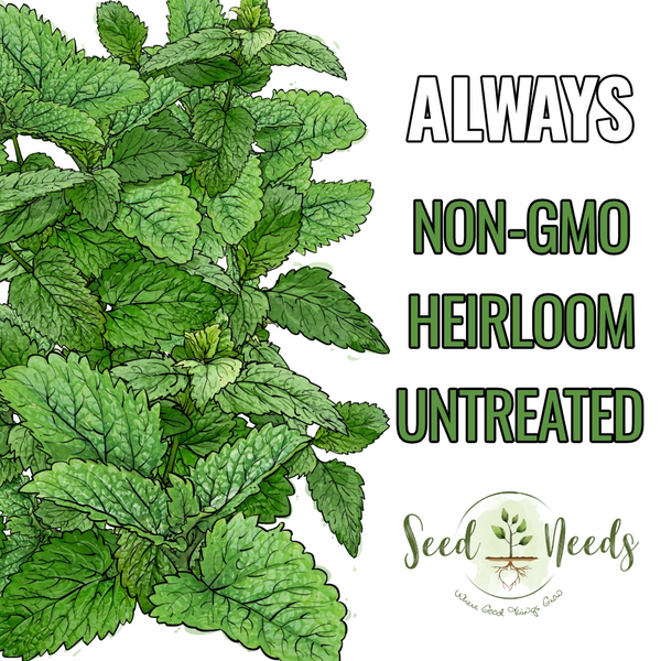 Lemon Balm Herb Seeds For Planting (Melissa officinalis)