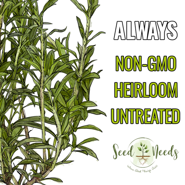 Summer Savory Herb Seeds For Planting (Satureja hortensis)