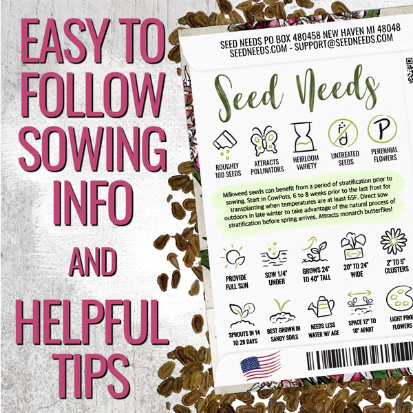 planting milkweed seed Showy Milkweed Seeds For Planting (Asclepias speciosa) Seed Needs – Seed Needs LLC