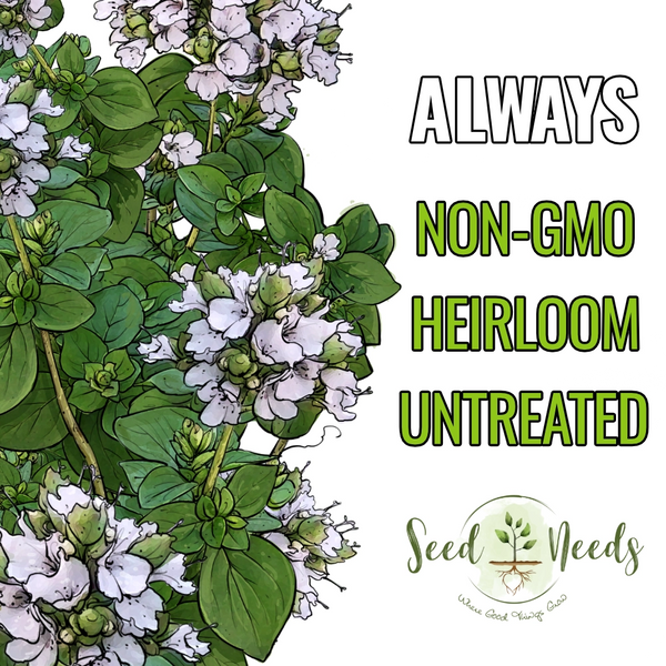 Sweet Marjoram Herb Seeds For Planting (Origanum majorana)