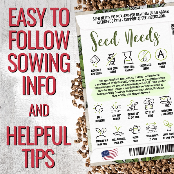 Ruby Queen Beet Seeds For Planting (Beta vulgaris)