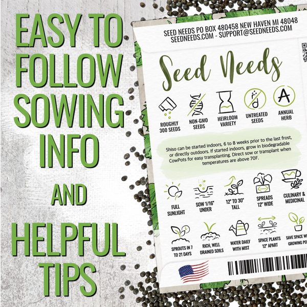 planting perilla seeds Green Shiso Seeds For Planting (Perilla frutescens) Seed Needs – Seed Needs LLC