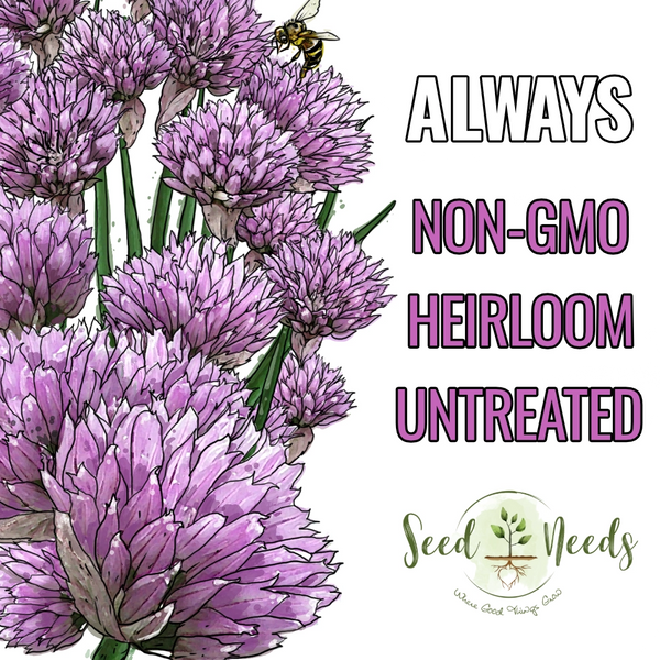 Common Chives Herb Seeds For Planting (Allium schoenoprasum)