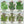 Culinary Herb Seed Variety Pack (12 Packets)