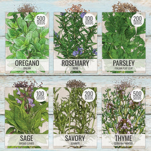 Culinary Herb Seed Variety Pack (12 Packets)