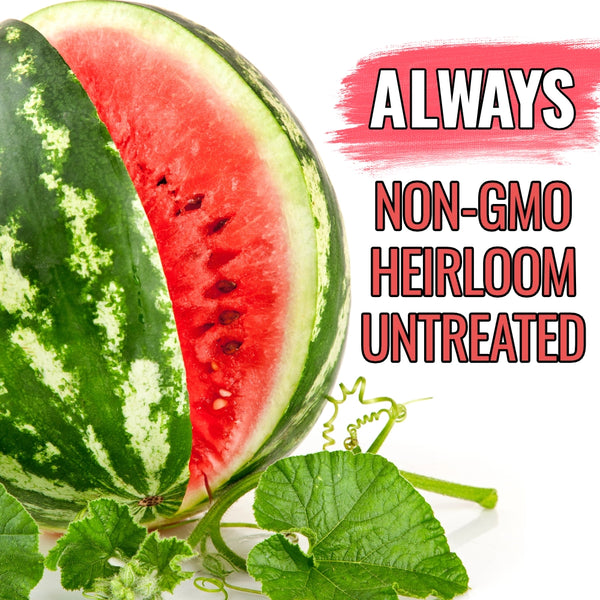 Crimson Sweet Watermelon Seeds For Planting (Citrullus lanatus)
