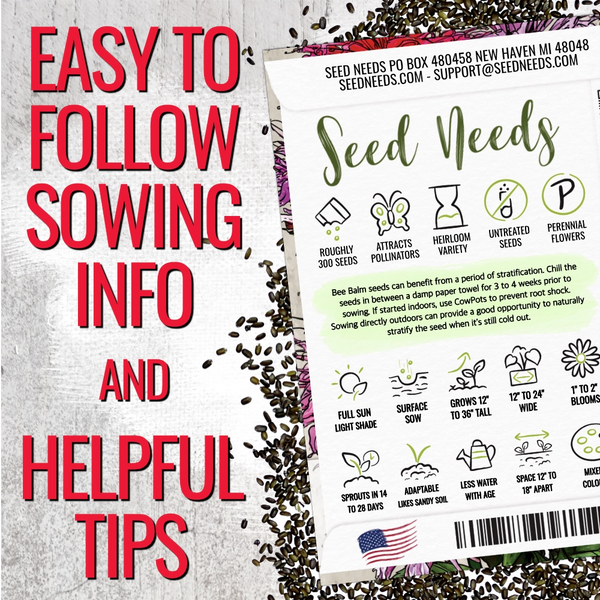 Panorama Blend Bee Balm Seeds For Planting (Monarda didyma)