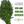 Dill Herb Seeds For Planting (Anethum graveolens)