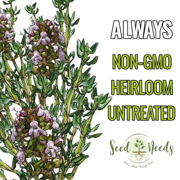 Thyme Herb Seeds For Planting (Thymus vulgaris)