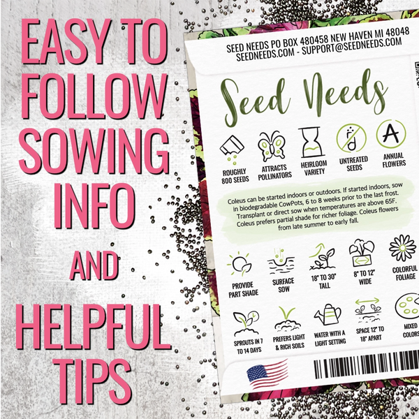 coleus seed planting instructions Rainbow Coleus Seeds For Planting (Coleus blumei) Seed Needs – Seed Needs LLC