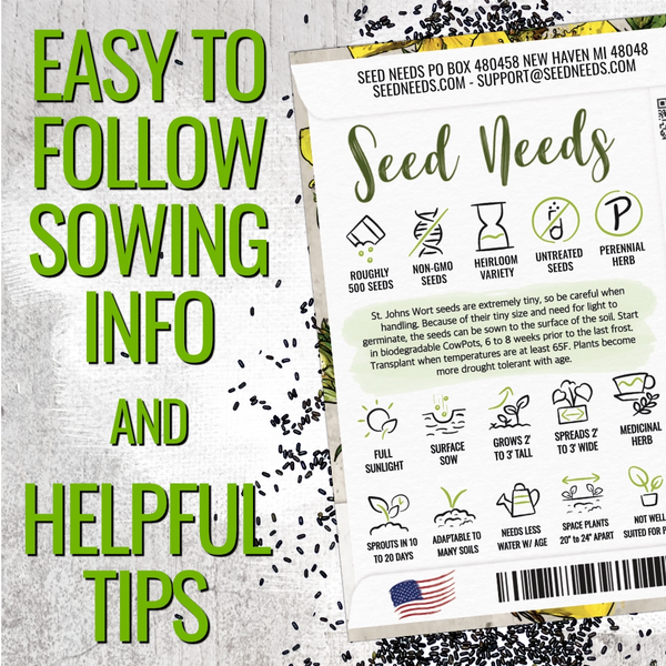 planting st john's wort seeds St. Johns Wort Seeds For Planting (Hypericum perforatum) Seed Needs – Seed Needs LLC