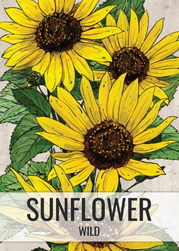 Wild Sunflower Seeds For Planting (Helianthus annuus)