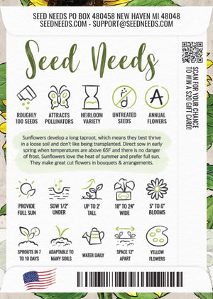 Yellow Pygmy Sunflower Seeds For Planting (Helianthus annuus)
