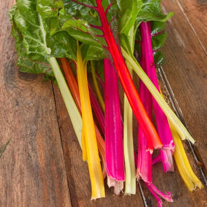 Swiss Chard Seeds For Planting, Rainbow Mixture (Beta vulgaris)
