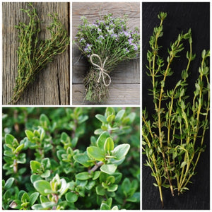 Thyme Herb Seeds For Planting (Thymus vulgaris)