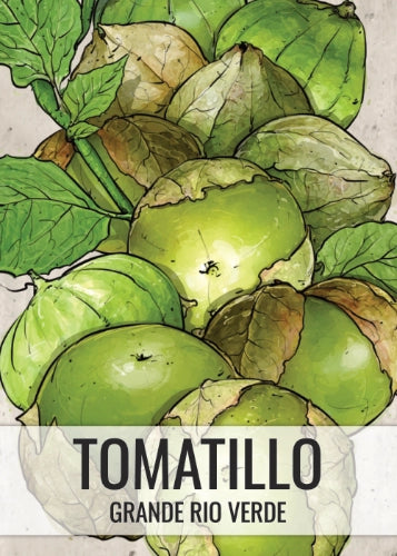 Grande Rio Verde Tomatillo Seeds For Planting (Physalis ixocarpa)