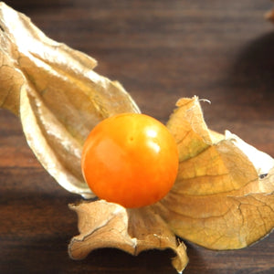 Ground Cherry Tomatillo Seeds For Planting (Physalis pruinosa)