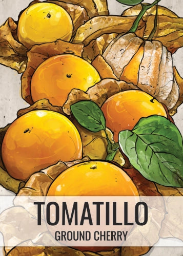 Ground Cherry Tomatillo Seeds For Planting (Physalis pruinosa)