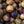 Purple Tomatillo Seeds For Planting (Physalis ixocarpa)