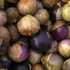 Purple Tomatillo Seeds For Planting (Physalis ixocarpa)