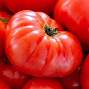 Beefsteak Tomato Seeds For Planting (Lycopersicon esculentum)