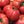 Pink Brandywine Tomato Seeds For Planting (Lycopersicon esculentum)