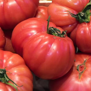 Pink Brandywine Tomato Seeds For Planting (Lycopersicon esculentum)
