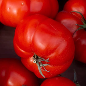 Red Brandywine Tomato Seeds For Planting (Solanum lycopersicum)