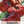 Red Brandywine Tomato Seeds For Planting (Solanum lycopersicum)