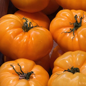 Yellow Brandywine Tomato Seeds For Planting (Lycopersicon esculentum)