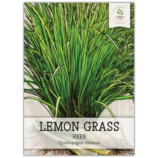 Lemon Grass Seeds For Planting (Cymbopogon citratus)