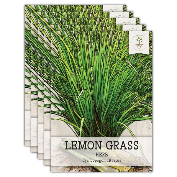 Lemon Grass Seeds For Planting (Cymbopogon citratus)